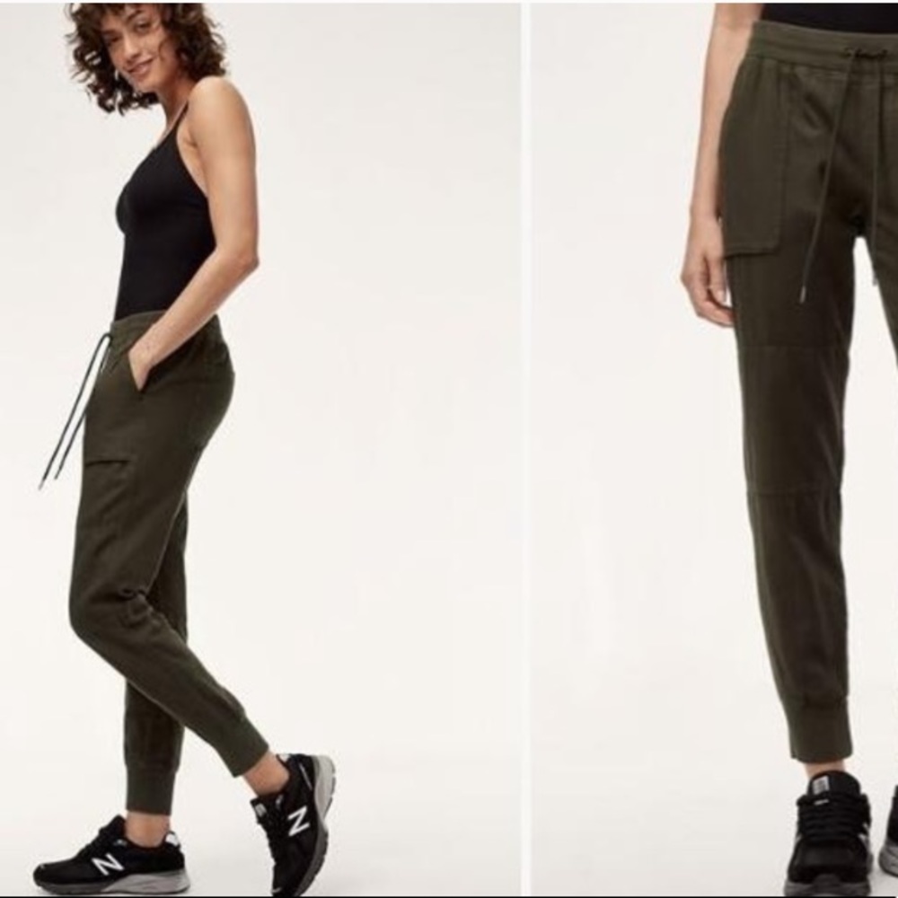 Aritzia Community Ion Pants